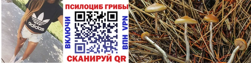 Псилоцибиновые грибы MAGIC MUSHROOMS кракен как зайти Воркута